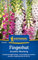 Kiepenkerl Fingerhutsamen Excelsior Mischung 1014650 - Blumensamen für schattenverträgliche Beet- und Schnittblumen mit Inhalt für 250 Pflanzen - Saatgut