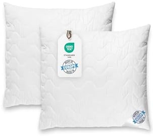 BLUE MOON Kopfkissen 80x80 - hautfreundliches Bett Kissen - Hochwertige Mikrofaser - Schlafkissen - allergiker-freundlich - kopfkissen waschbar - Made in EU - (2er Pack 80 x 80 cm)