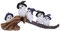 Nemesis Now Gefiederter Besenstiel, 26 cm, Harz, weiß, Eulenfigur, weiße Eulenornament, Sammlerstück, Eulen-Geschenkartikel, gegossen aus feinstem Harz, fachmännisch handbemalt
