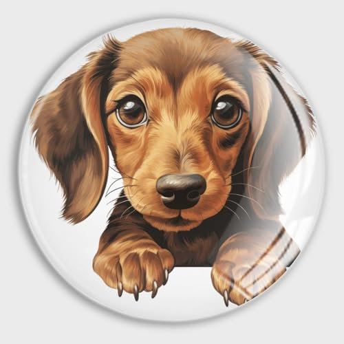 Evans1nism Kühlschrankmagnete für Whiteboard, Tierwelpe, Glas, niedliche Magnete, Tiermotiv, Garagenmagnet für Kühlschrank, Briefkasten, Auto, Metalldekorationsstücke