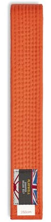 Playwell Martial Arts Gürtel aus Baumwolle, einfarbig, Karate, Judo Taekwondo, Orange, 250cm