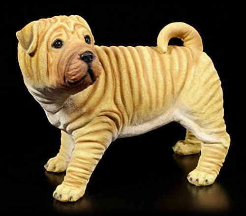 Figuren Shop GmbH Gartenfigur Hund - Faltenhund Shar-Pei | Dekofigur, handbemalt