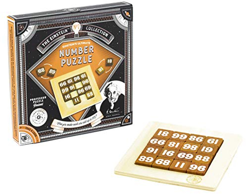 Professor PUZZLE EIN2907 Albert Einstein Brainteaser, Multi