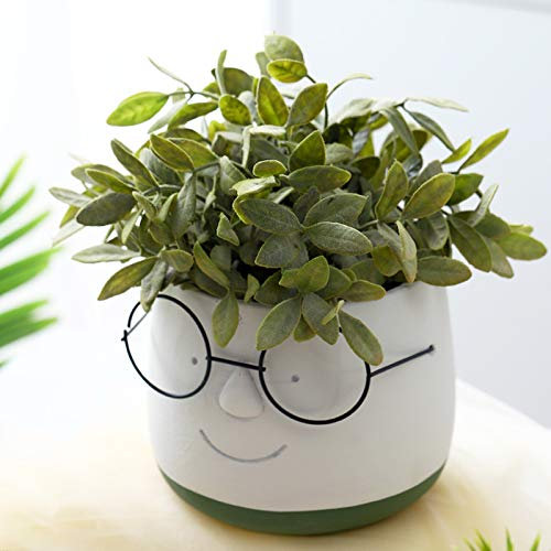 NA Nordic Style Human Face Wear Glass Flower Vase Cement Flower Pot,Personality Cute Fleshy Green Radish Potted Plant