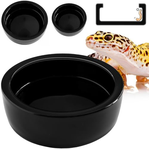 Gamelle Anti-Fuite en céramique pour lézard, Gecko lézard, Dragon Barbu, caméléon, Skink, tegu, Serpent, ver de Farine, Super-vers, cafards Dubia (Taille M, Noir)
