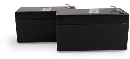 SCS Sentinel - AAM0127 - Un corredo di 2 batterie di sostegno - 12 / 24V - 30 CM