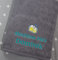 ★ Handtuch mit Namen und Motiv Bestickt ★ Duchtuch ★ Geschenk ★ Badetuch ★ 500 g/m2 ★ (70 x 140 cm, Grau)