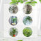 60 Pcs Asparagus Fern Samen - Bambus - Asparagus Setaceus - Luftreinigende Zimmerpflanzen, Exotische Samen Zierspargel Pflanzen Samen, Immergrüne Winterharte Sträucher, Hängepflanze