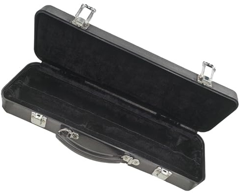 Scatola portaoggetti per flauto da concerto, 16 fori, rivestimento morbido, adatta per contenitori di dimensioni standard
