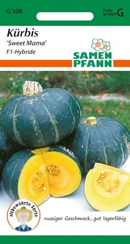 SAMEN PFANN® Kürbis, Sweet Mama - Gemüse-Samen Kürbis-Samen Saatgut Samen (Cucurbita maxima, var. Sweet Mama F1)