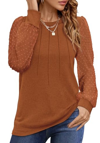 Aokosor Ladies Long Sleeve Tops Women Tops Crewneck Pleated Shirt Chiffon Blouse Women Tops Brown Size 10-12