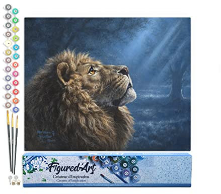 Figured'Art Peinture par Numéro Adulte Lion dans la pénombre - Activité Manuelle Kit de Loisir Créatif DIY Numéro d'Art Complet - 40x50cm sans châssis en bois