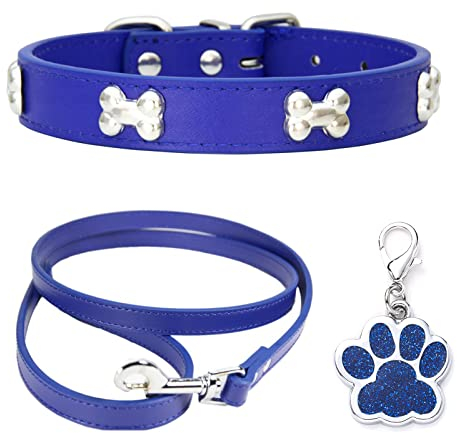 HALFSUMO Hundehalsband Leder Halsband Hundeleine Combo Set Hundehalsbänder Verstellbares Welpenhalsband für Kleine Mittelgroße Hunde Katzen Blau M