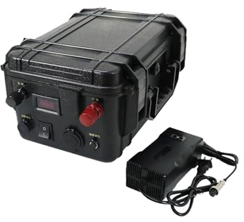 WILLQ 24 Volt 60AH 100AH 150AH Lithiumbatterie für Golfwagen/Marine/Wohnmobil/Wohnmobil/Trolling-Motor Ersatzbatterie 24V tragbare Backup-Batterie,24v150ah