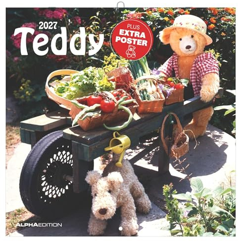 Teddy 2027: Wandkalender 30x30 cm (30x60 cm geöffnet) mit Notizkalendarium, 12 Teddy-Motiven und Extra Poster