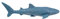 Deluxebase Mini réplique de requin baleine de petite taille réaliste qui fait un jouet idéal pour les enfants