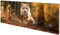Wallario Wandgarderobe aus Glas in Größe 80 x 30 cm mit Memoboard-Funktion, Motiv: Rennender Fuchs | 5 Kleiderhaken zum Aufhängen von Jacken