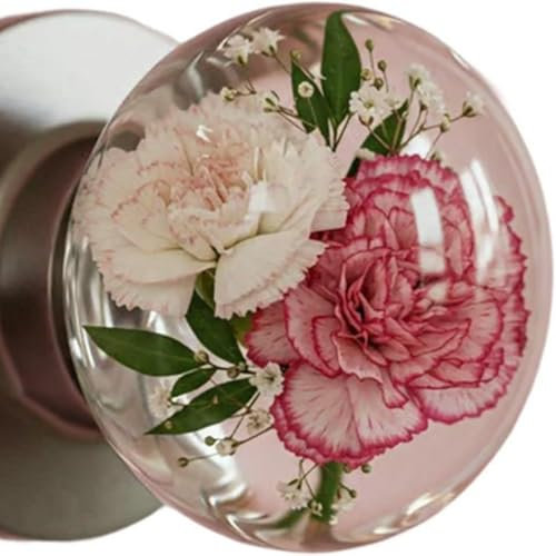 Unique Decorative Door Handle, Retro Round Resin Epoxy Flower Door Knob Retro, reative Artistic Decor for Bedroom, Nature Style Transparent Animal Crystal Doors& Knobs (Style D)