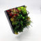 tableau vegetal stabilisé 20 x 20 red