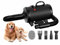Blanlody Asciugacapelli per Cani Blower Molto Silenzioso, 4,5 CV/3200 W, velocità Regolabile, Ventilatore per la Cura del Cane con 4 Diversi ugelli, Tubo Elastico e Spazzola per la Cura
