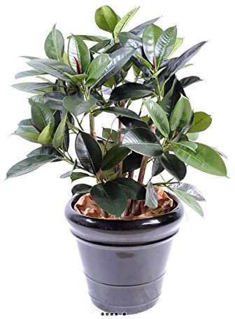 Artificielles.com - Artificial Ficus Elastica or Rubber Plant in Fabric H 90 cm in Pot