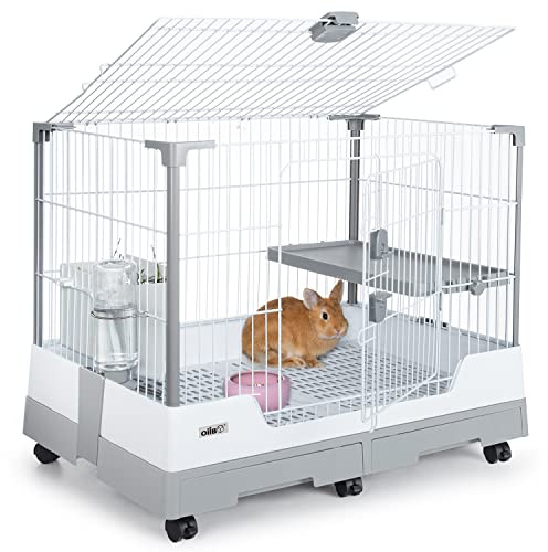 OIIBO Jaula de animales pequeña para conejos, 32 x 21 x 26 pulgadas, plegable, con bandeja extraíble y plataforma de ruedas para hurón, chinchilla