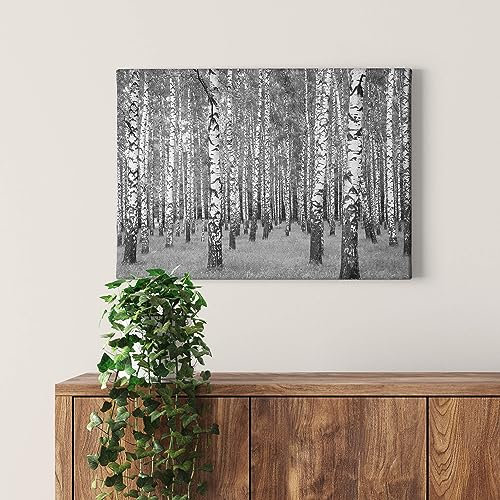 A.S. Création Leinwandbild Wald Birkenwald - Kunstdruck schwarz weiß - 70x50 cm Querformat - moderne Wanddekoration Schlafzimmer Wohnzimmer Küche - Bild auf Keilrahmen