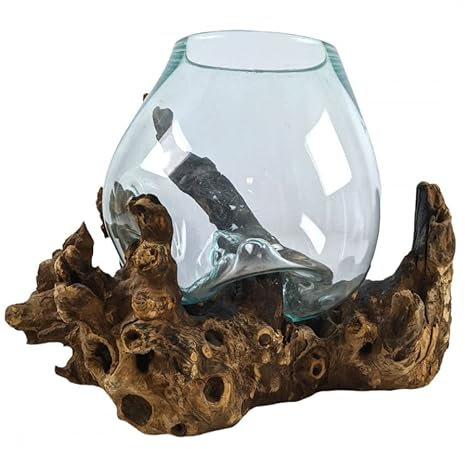 Coco Papaya Vase en Verre Soufflé sur Racine de Gamal - Grand Modèle