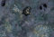 Kraken Wargames Caves 44x30