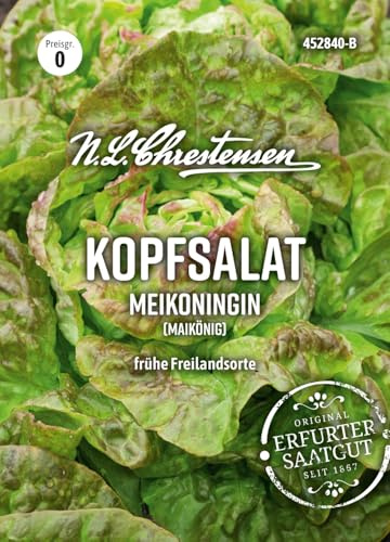 Chrestensen Kopfsalat „Meikonogin“ – Frühe Salatsorte – Zarter grüner Kopfsalat – Saatgut für Garten & Hochbeet (Maikönig)