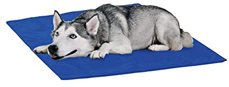 Streetwize SWPET10 Pet Cool Mat - Waterproof, Double Sided, Non-Toxic Gel Bed for Dogs, Cats - Cooling Mat | Outdoor/Indoor Travel Pet Supplies