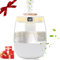 Gohytal Aroma Diffuser Ätherische Öle 280ml, Luftbefeuchter Ultraschall Humidifier mit Aromazerstäuber 360° Dampfdüsen Superleise Doppeldüse Ätherische für Schlafzimmer Yoga Kinderzimmer Pflanzen Büro