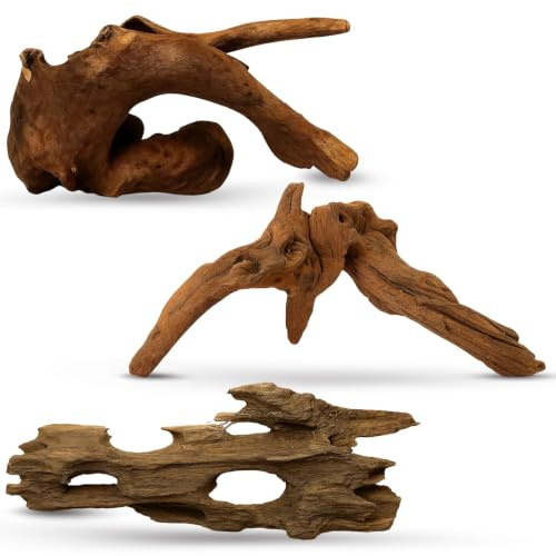 PjuQow 3 Stücke Treibholz, 5-15 cm, Aquarium Deko, Natürliche Aquarium Wurzel, Dekoration Für Aquarien Und Reptilienbecken, Vielseitige Treibholz Deko Für Zuhause