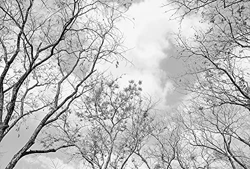 WTD - Carta da parati con immagine di Tree Top, foresta, albero, nero/bianco, 3,84 m x 2,6 m, colore: grigio, bianco, nero