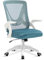 Blisswood Office Desk Chair With 90° Flip-up Armrest Swivel Computer Mesh Chair With Lumbar Support, Adjustable Height, Back Support 360° Rotation For Home Office