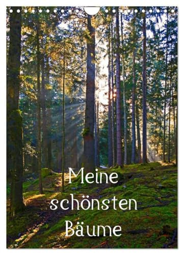 Meine schönsten Bäume (Wandkalender 2026 DIN A4 hoch), CALVENDO Monatskalender: 12 schöne Bäume im Salzburger Land (CALVENDO Natur)