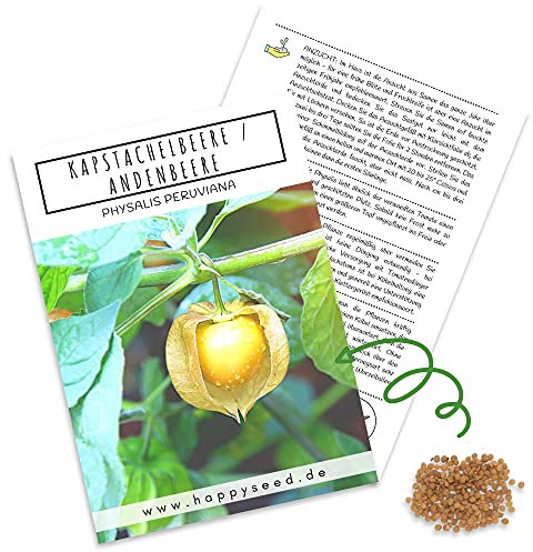 Physalis Samen (Physalis peruviana) - Exotische Kapstachelbeere Andenbeere ideal für die Anzucht im Garten, Balkon oder Terrasse