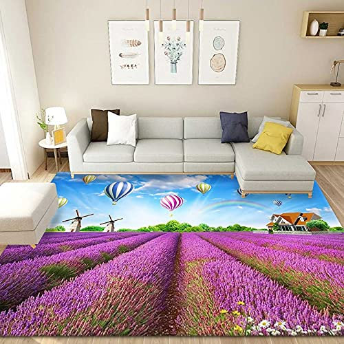 DJHWWD Teppich Auslegware lila Teppich bettvorleger Outdoor Teppich XXL 3D-Wohnzimmer-Schlafzimmer Voller Shop-Haushaltsraum 80x120cm Balkon Teppich Outdoor Kinderzimmer Teppiche