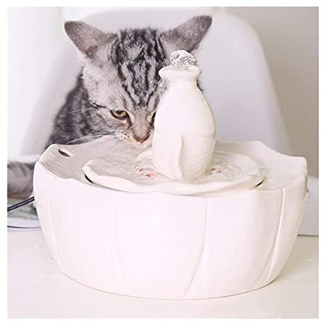ALEjon Fontanella per Animali Domestici in Ceramica per Cani e Gatti - Fontana per Gatti Bianca con Filtro