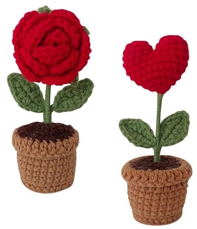 HäKelblumen, Rose Flowers Gift Geschenke für Frauen Geburtstagsgeschenk für Mama Beste Freundin Geschenke Infinity Rosen Gifts For Women Ausgefallene Kleines Geschenke für Frauen Blumen Verschicken