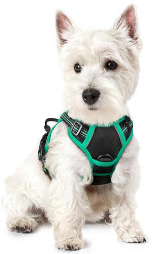 rabbitgoo Dog Harness Small Dog No Pull Pet Harness with 2 Leash Clips, Adjustable Soft Padded Pet Vest, Reflective No-Choke with Easy Control Handle for Training or Walking, Black Mintgreen, XS
