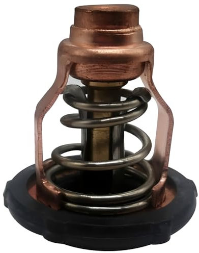 SAIL MARINE 6FP-12411 Termostato 60℃ 150 F Per Yamaha 75 90 HP F75B F90B VF90A 4 tempi motore fuoribordo