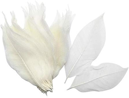 Fiori secchi, fiori artigianali, Decorazioni for la casa artigianali di gioielli fai-da-te, foglie di scheletro pressate essiccate e foglie di magnolia naturale grandi for scrapbooking, artigianato ar