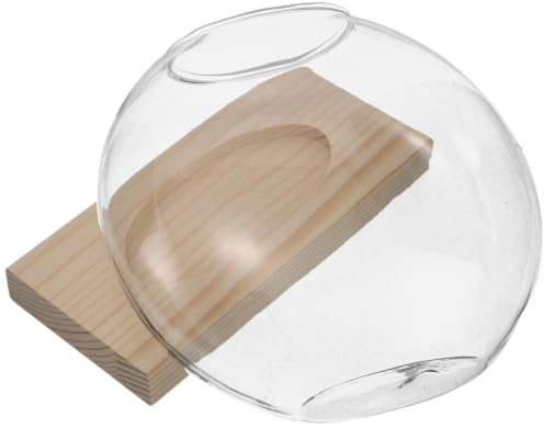 TINEASUR Vase Hydroponique en Verre, Vase à Fleurs Hydroponiques Rond avec Support en Bois, pour Herbes et Fleurs, Montre, Évite Le Basculement, Déco Bureau et Rebord de Fenêtre