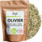 Olivier Feuilles Coupées - Feuilles d'Olivier Cuisine Infusion Tisane 100% Naturel - NCA (100)