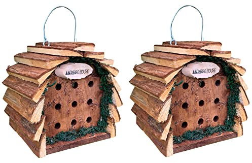 Selections Wooden Hanging Ladybird House Insect and Bee Hotel with Bark Roof - Pack of 2