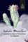 Euphorbia Mammillaris: Unlocking the Magic of Desert Plants, For Beginners