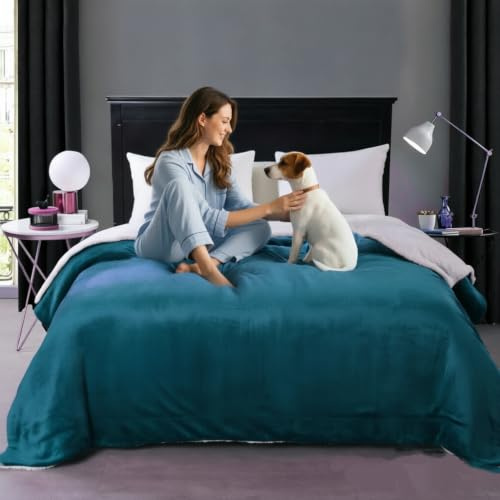 GBYcLyw Wasserdichte King-Size-Decke für Bett, Intimität, 203 x 228 cm, wasserdichte Liebesdecke für Paare, Strand, Picknick, Haustiere, Erwachsene, Hunde, wasserdichte Wendematratze oder Möbel (blau)