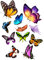 Asudaro Auto 3D Schmetterling Aufkleber, PVC, Modern, Bunt, Autosticker, Aufkleber, Autoaufkleber, Multicolor, Schmetterling, Glas, Kunststoff, Metall
