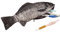 Fischförmiges Federmäppchen, Neuartige Fisch Stift Taschen, Lustige Fisch Federmäppchen, Kreative Fisch Federmäppchen Schreibwaren Organizer, für Jungen, Mädchen & Schulbedarf